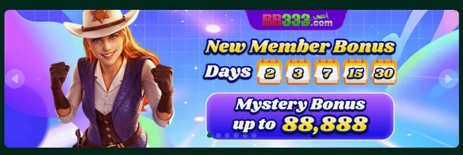 BB333